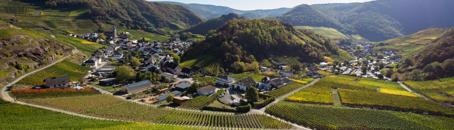 Blick auf die Ortschaft Mayschoss im Ahrtal , die Landschaft und einige Weinberge - Martina Wagner Immobilien