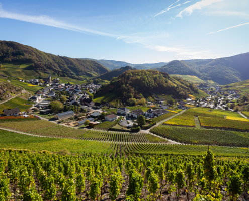 Blick auf die Ortschaft Mayschoss im Ahrtal , die Landschaft und einige Weinberge - Martina Wagner Immobilien