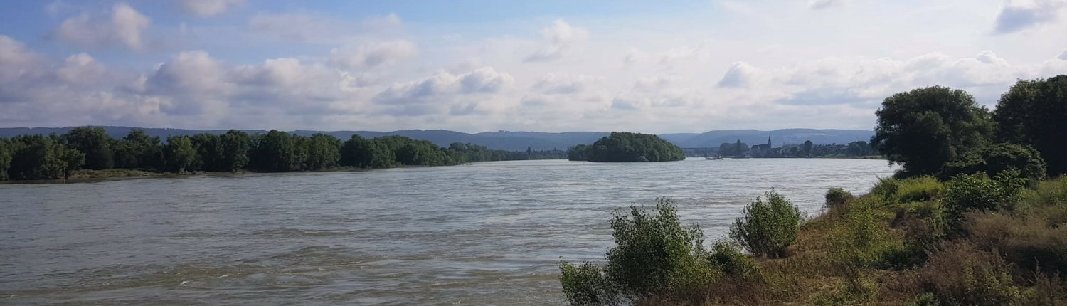 Blick auf den Rhein - Martina Wagner Immobilien
