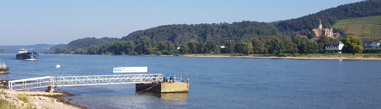 Blick auf den Rhein aus Bad Breisig - Martina Wagner Immobilien