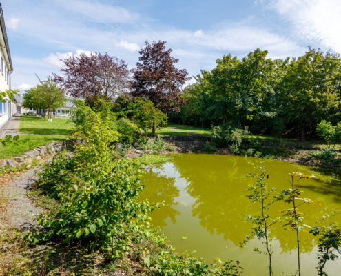 seitlicher Blick über einen Teich, im Hintergrund Laubbäume, Rasen am linken Bildrand Immobilie.